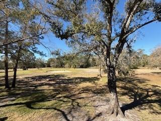 3505 TARPON WOODS BLVD #J408, PALM HARBOR, FL, 34685