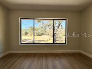 3505 TARPON WOODS BLVD #J408, PALM HARBOR, FL, 34685