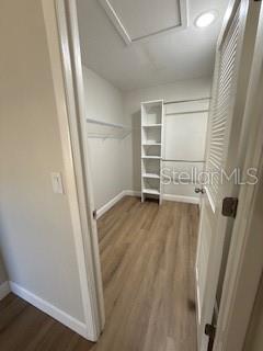 3505 TARPON WOODS BLVD #J408, PALM HARBOR, FL, 34685