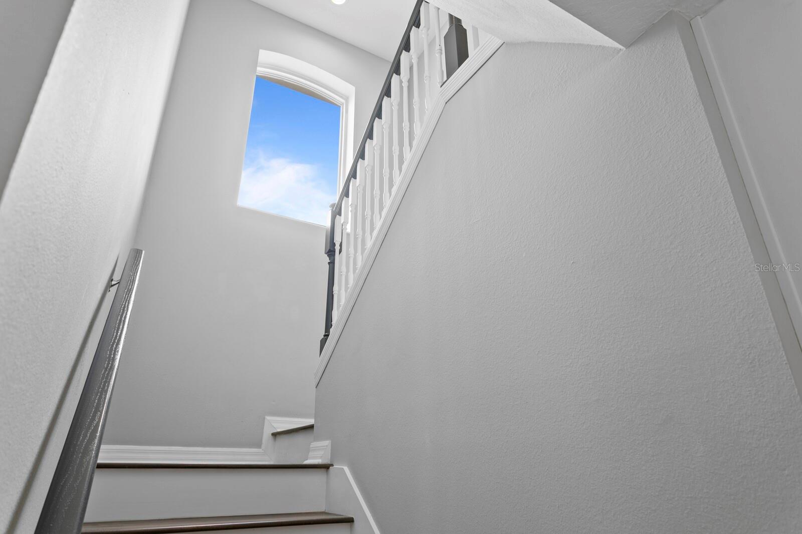 16311 ASHINGTON PARK DR, TAMPA, FL, 33647