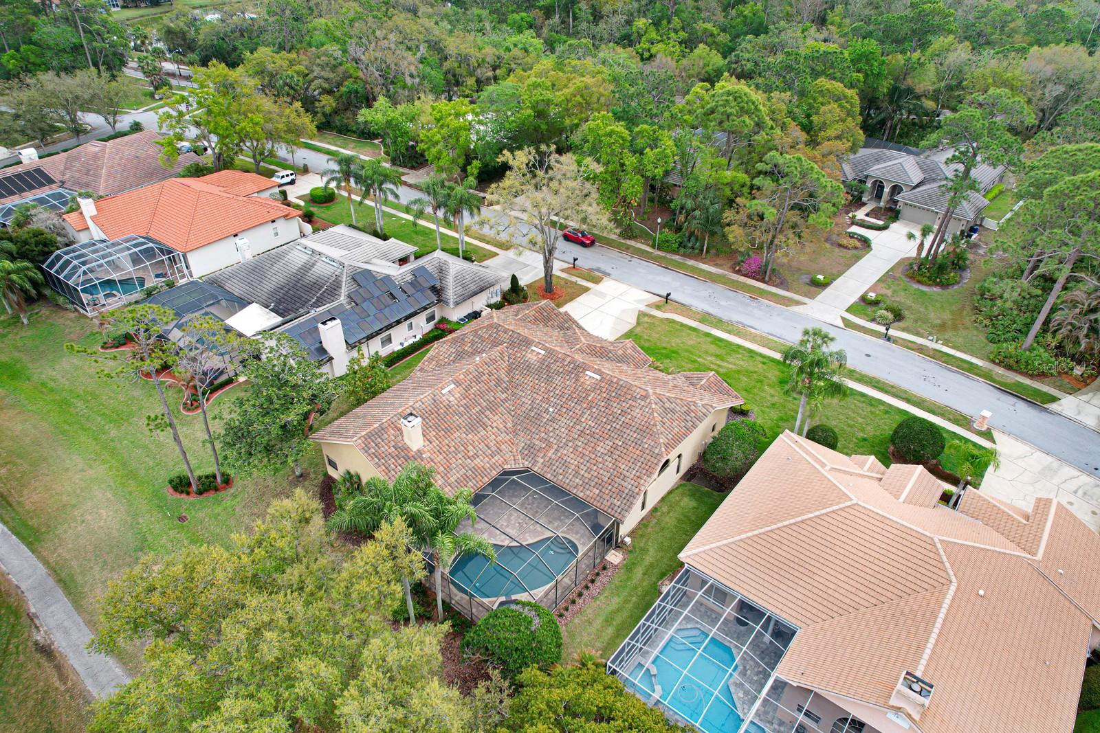 35 KELLEYS TRL, OLDSMAR, FL, 34677