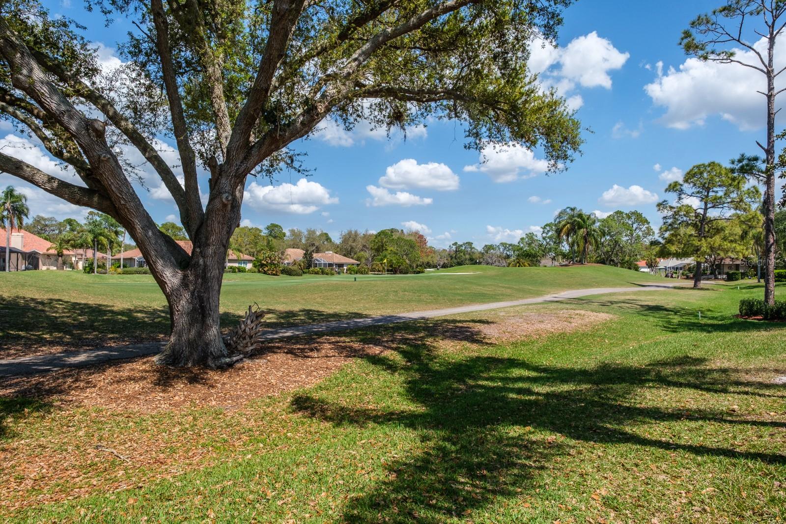 35 KELLEYS TRL, OLDSMAR, FL, 34677