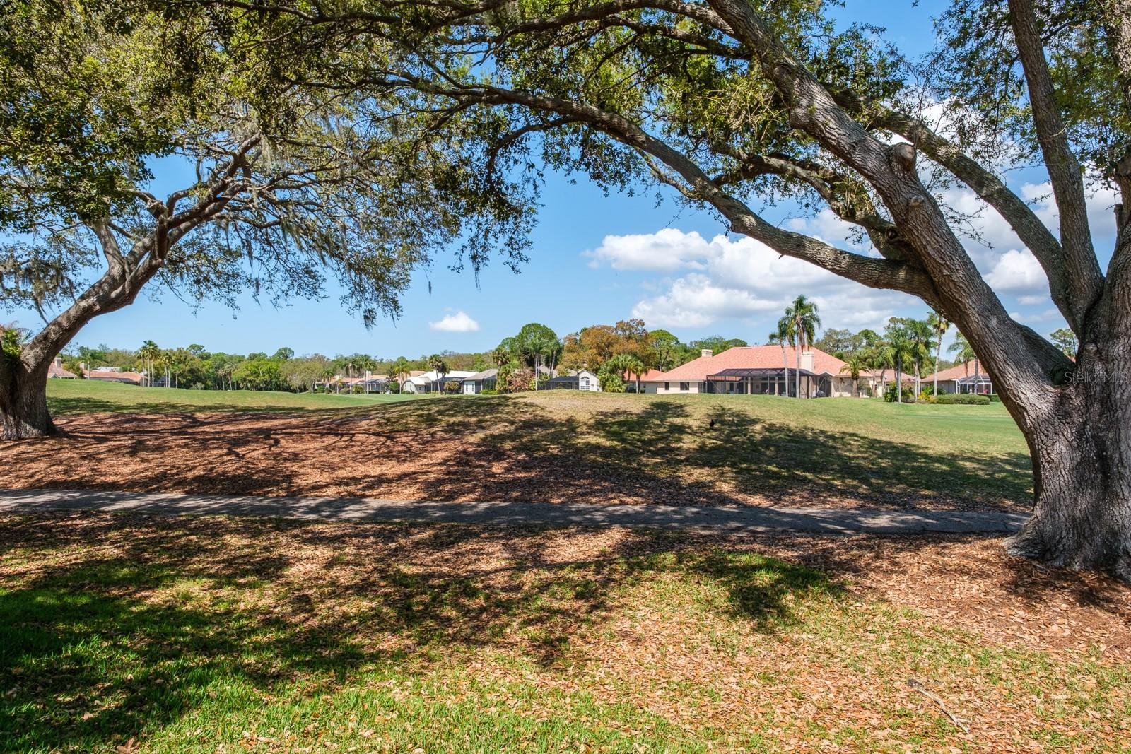 35 KELLEYS TRL, OLDSMAR, FL, 34677