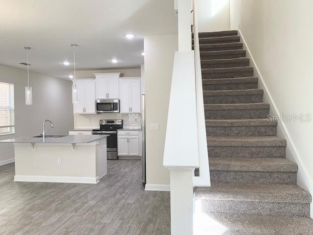 14366 ORCHARD HILLS BLVD, WINTER GARDEN, FL, 34787