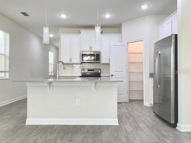 14366 ORCHARD HILLS BLVD, WINTER GARDEN, FL, 34787