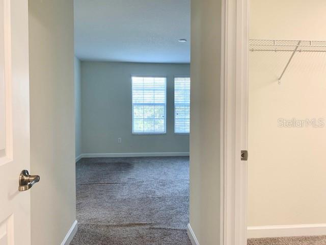 14366 ORCHARD HILLS BLVD, WINTER GARDEN, FL, 34787