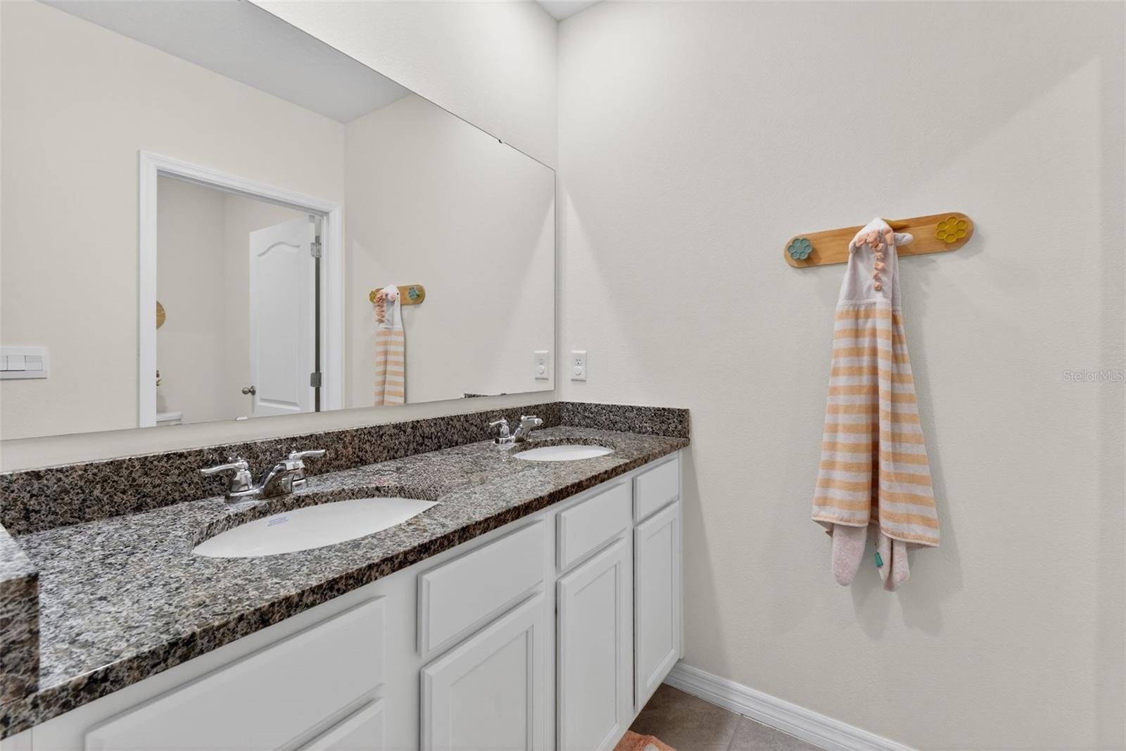 4893 PANGA AVE, MOUNT DORA, FL, 32757