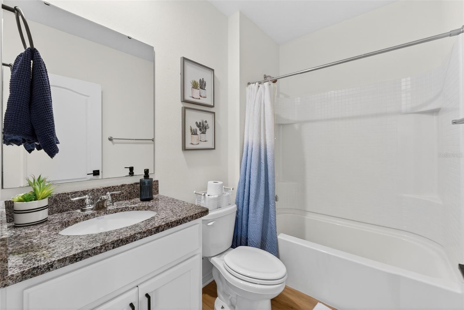 4893 PANGA AVE, MOUNT DORA, FL, 32757