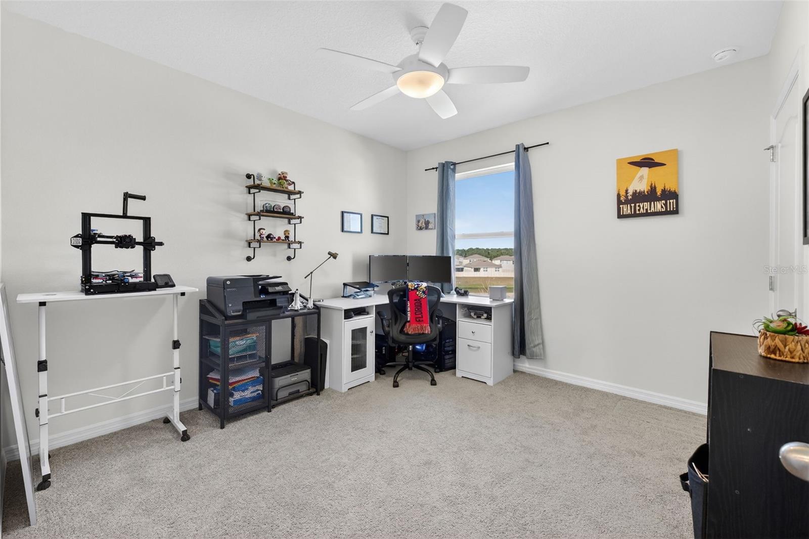 4893 PANGA AVE, MOUNT DORA, FL, 32757