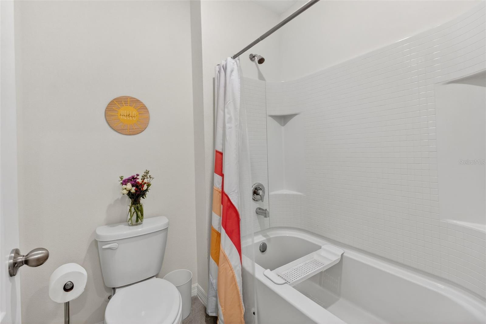 4893 PANGA AVE, MOUNT DORA, FL, 32757