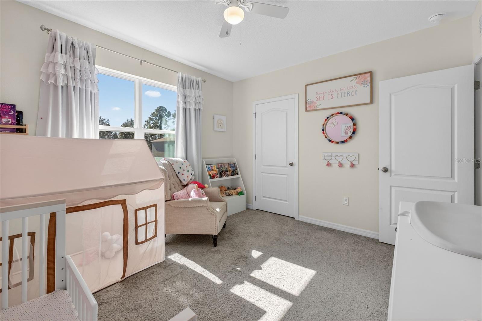 4893 PANGA AVE, MOUNT DORA, FL, 32757