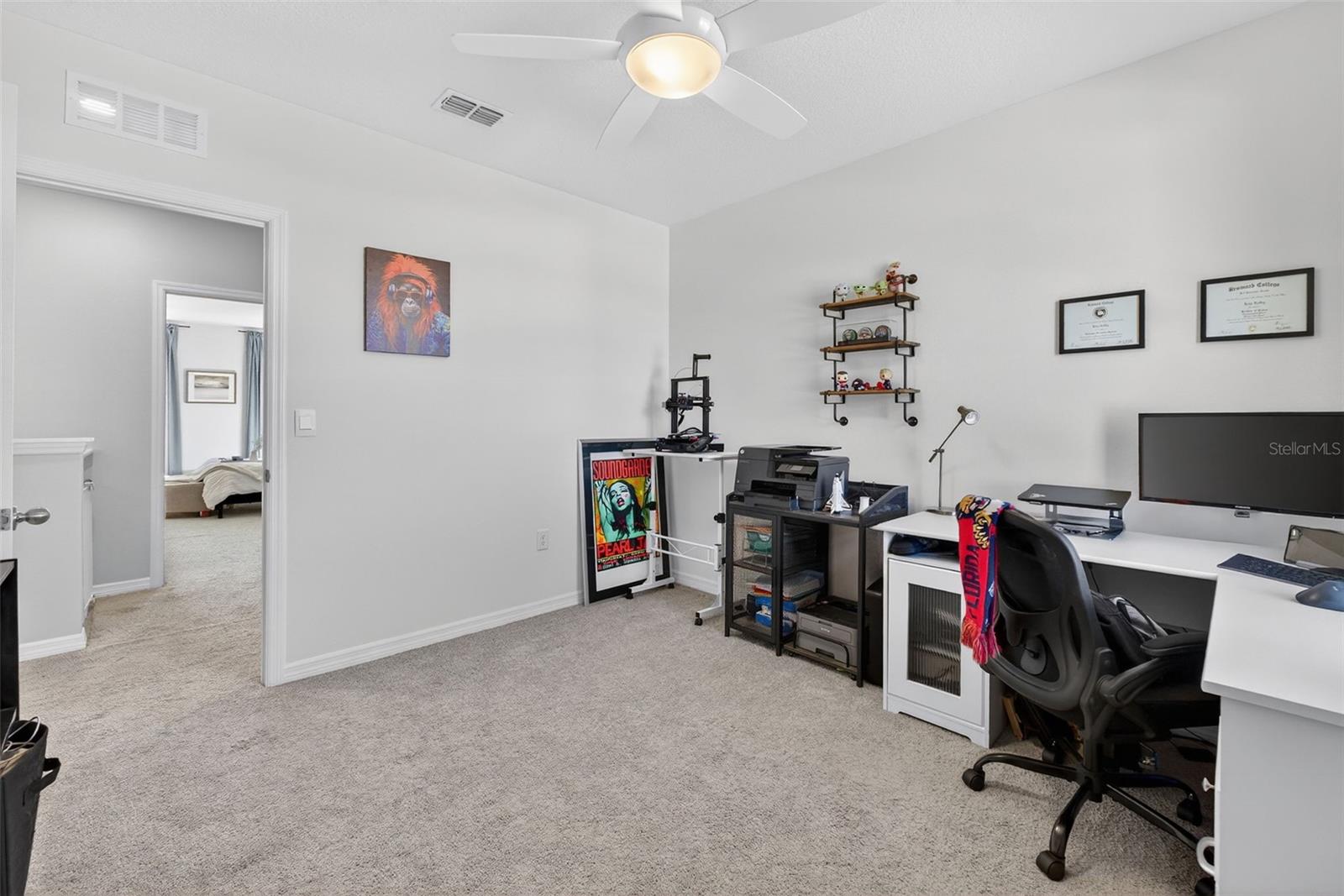 4893 PANGA AVE, MOUNT DORA, FL, 32757