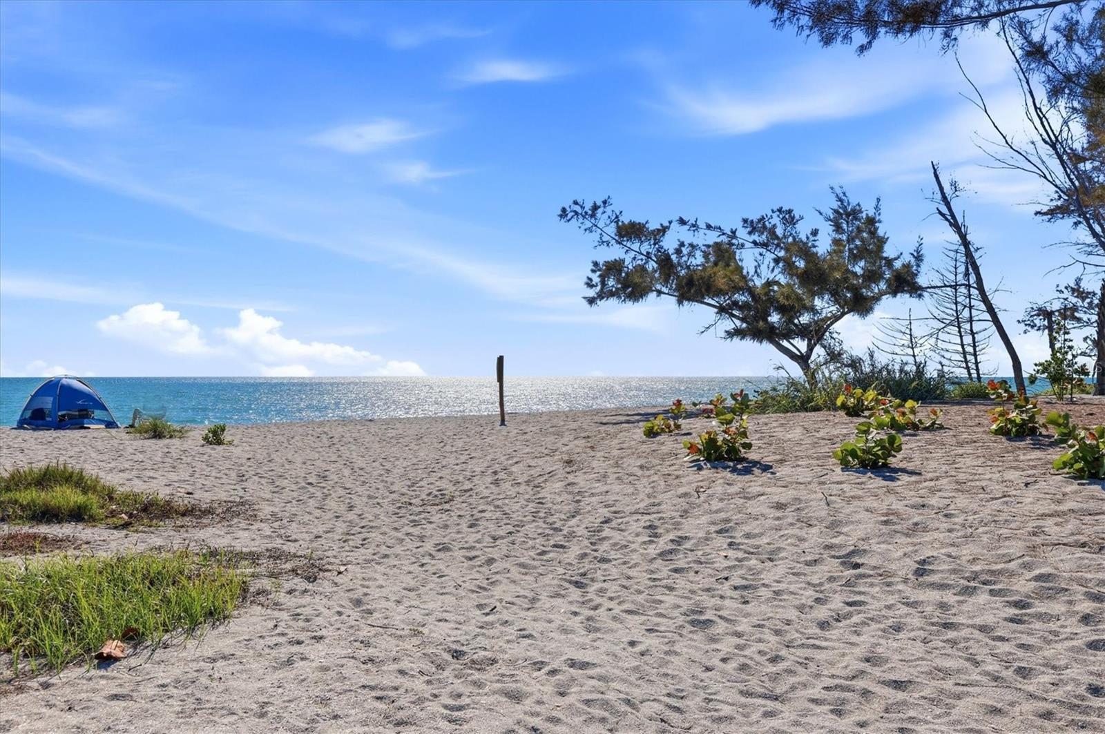 1585 TARPON CENTER DR #29, VENICE, FL, 34285
