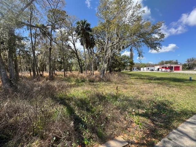 WALLACE RD, NEW SMYRNA BEACH, FL, 32168