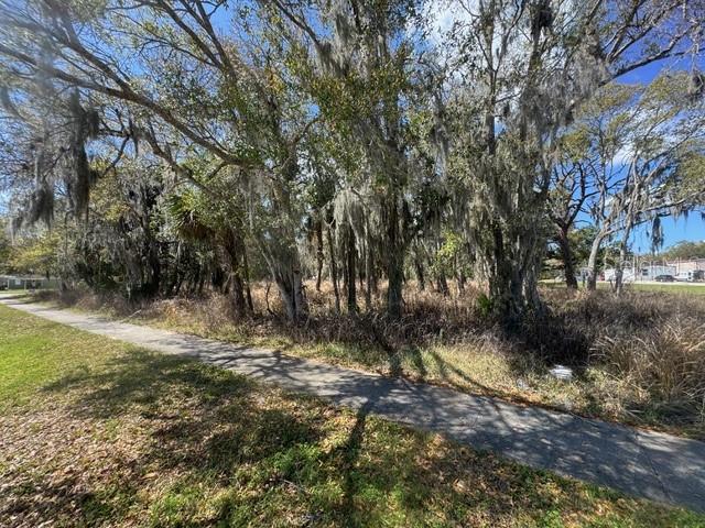 WALLACE RD, NEW SMYRNA BEACH, FL, 32168