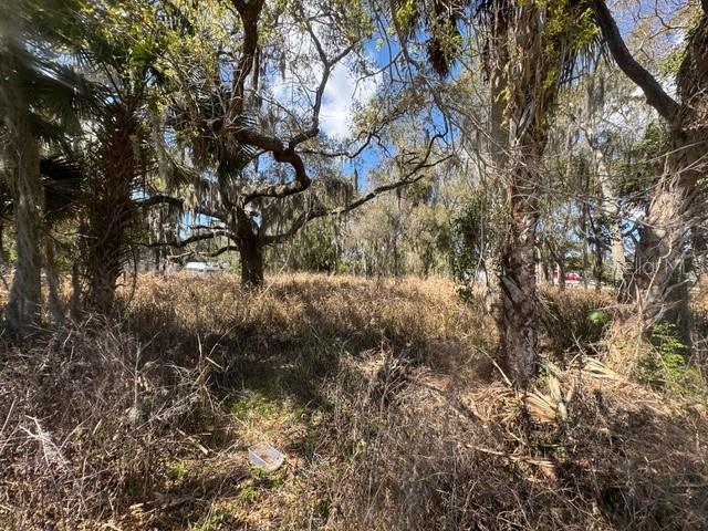 WALLACE RD, NEW SMYRNA BEACH, FL, 32168