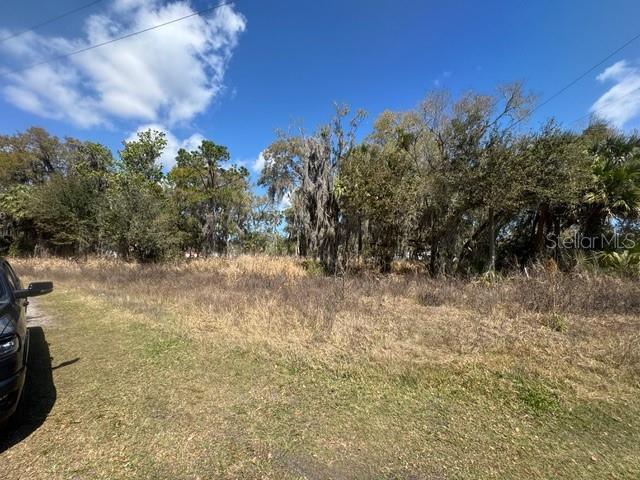 WALLACE RD, NEW SMYRNA BEACH, FL, 32168