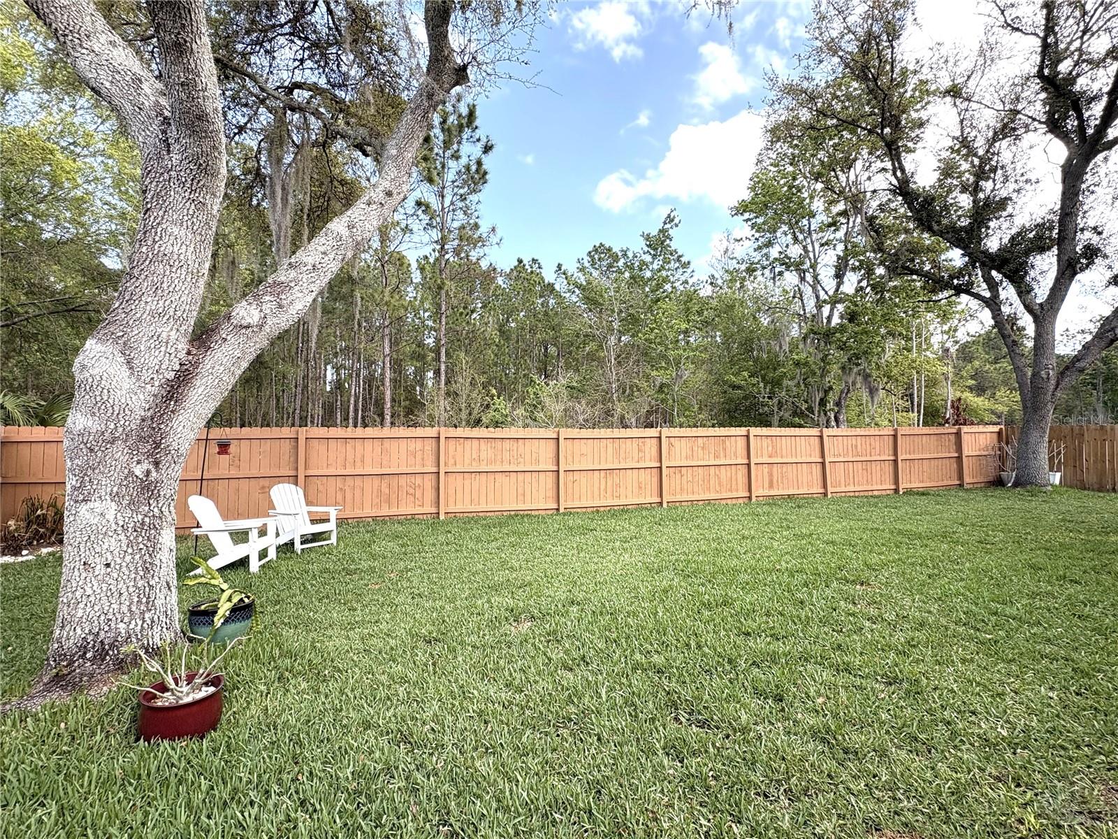 18536 OTTERWOOD AVE, TAMPA, FL, 33647