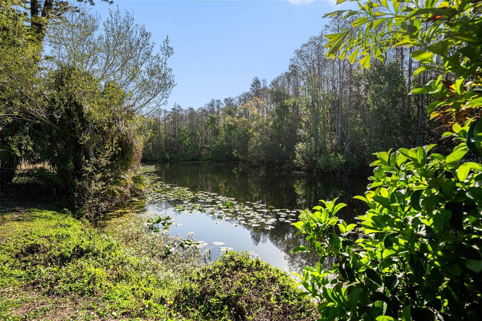 3522 DELLEFIELD ST, NEW PORT RICHEY, FL, 34655