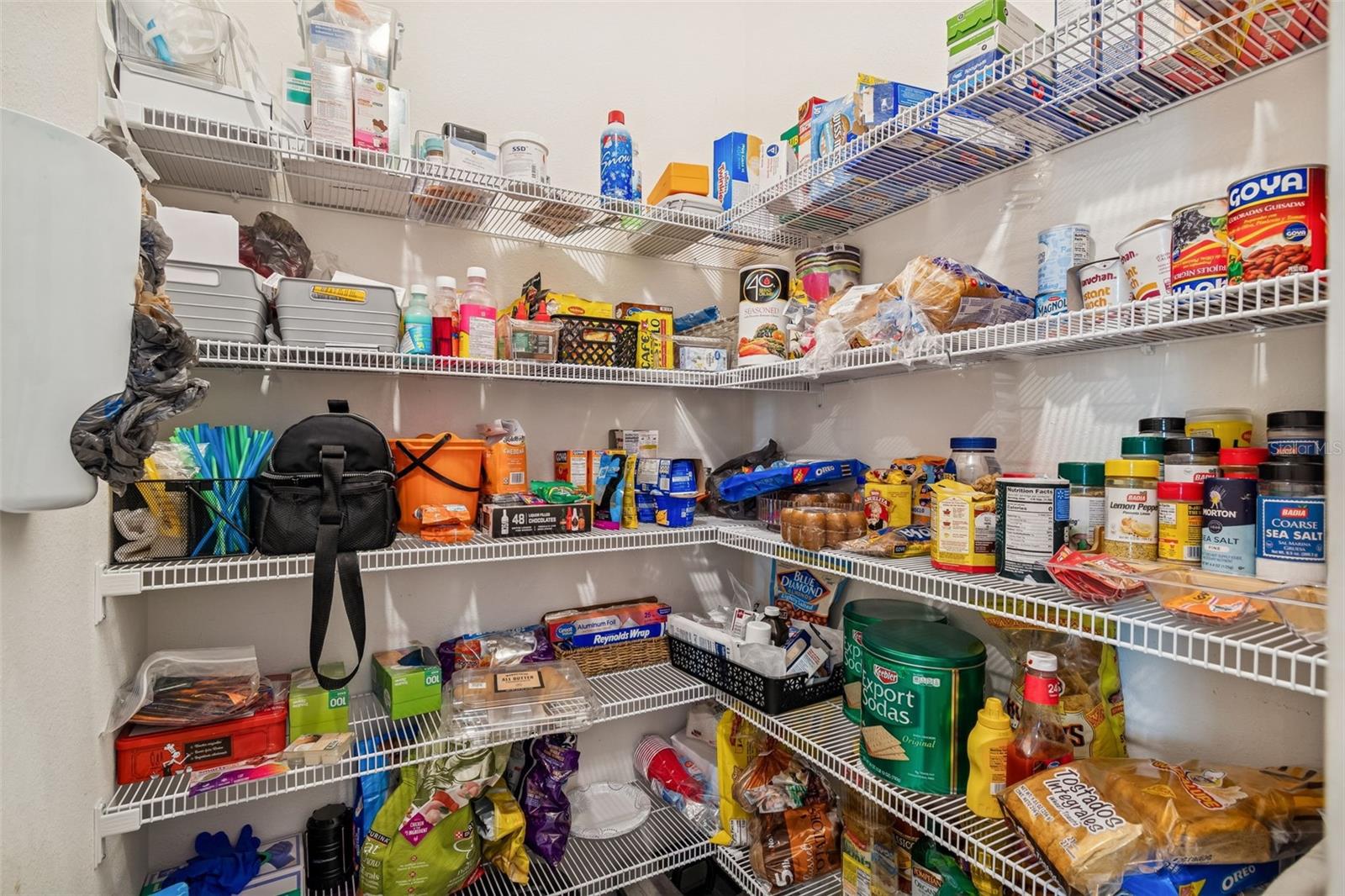 13470 GOLDEN LIME AVE, SPRING HILL, FL, 34609