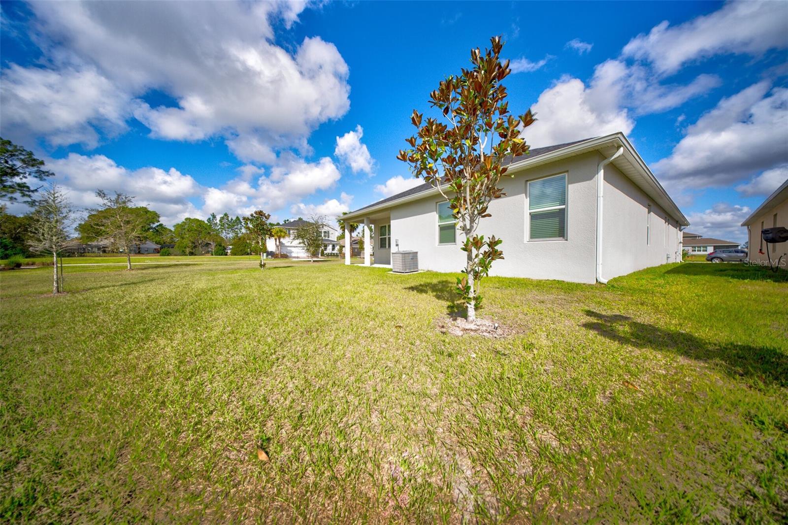 16300 WINDING PRESERVE CIRCLE, CLERMONT, FL, 34714