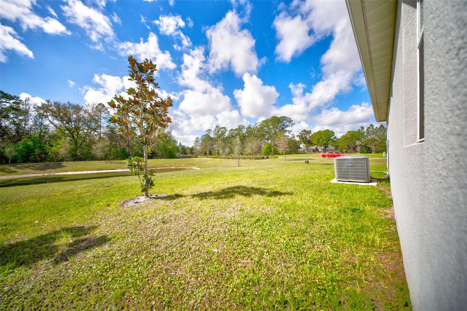 16300 WINDING PRESERVE CIRCLE, CLERMONT, FL, 34714