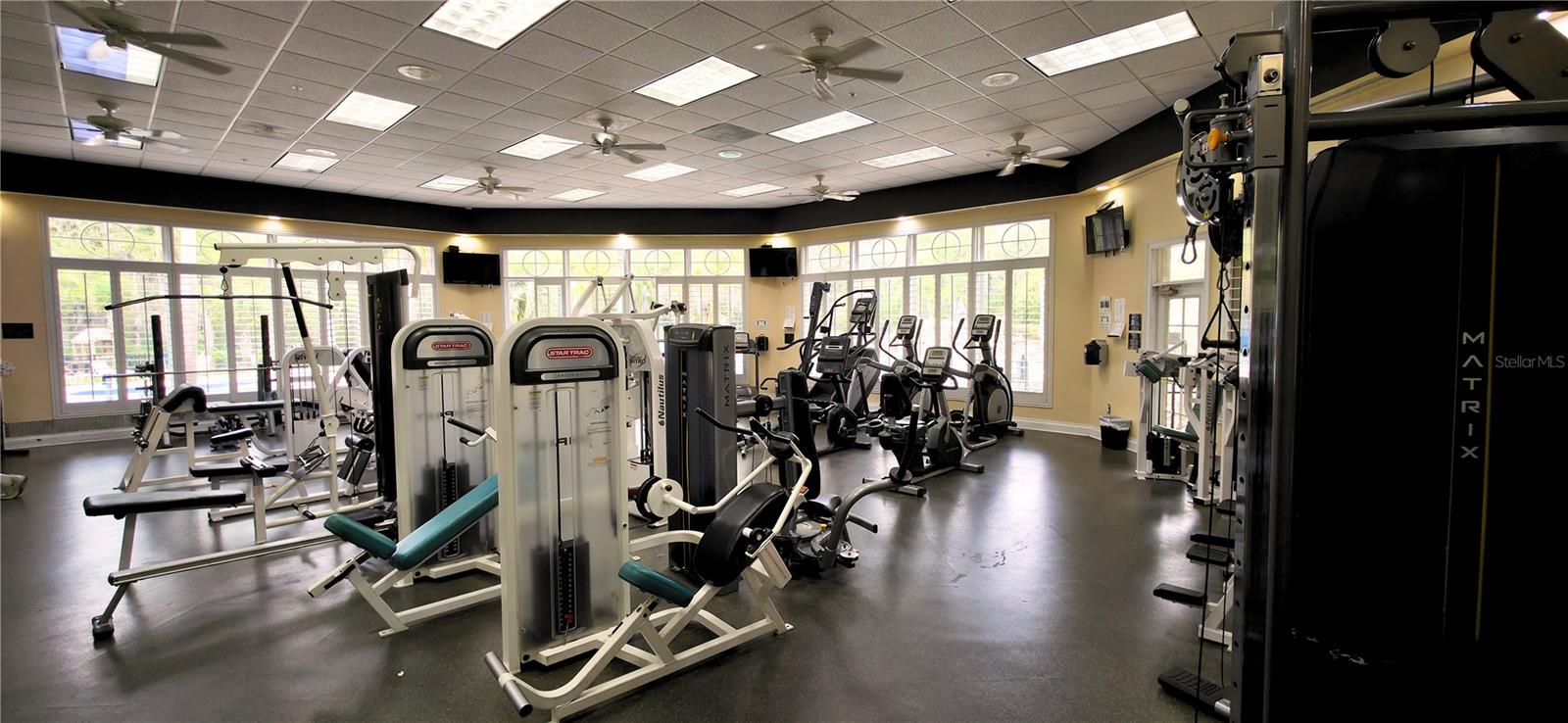 6041 CATLIN DR, TAMPA, FL, 33647