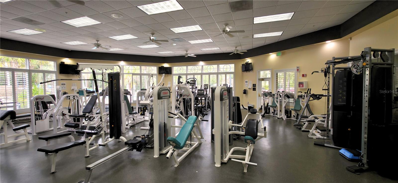 6041 CATLIN DR, TAMPA, FL, 33647