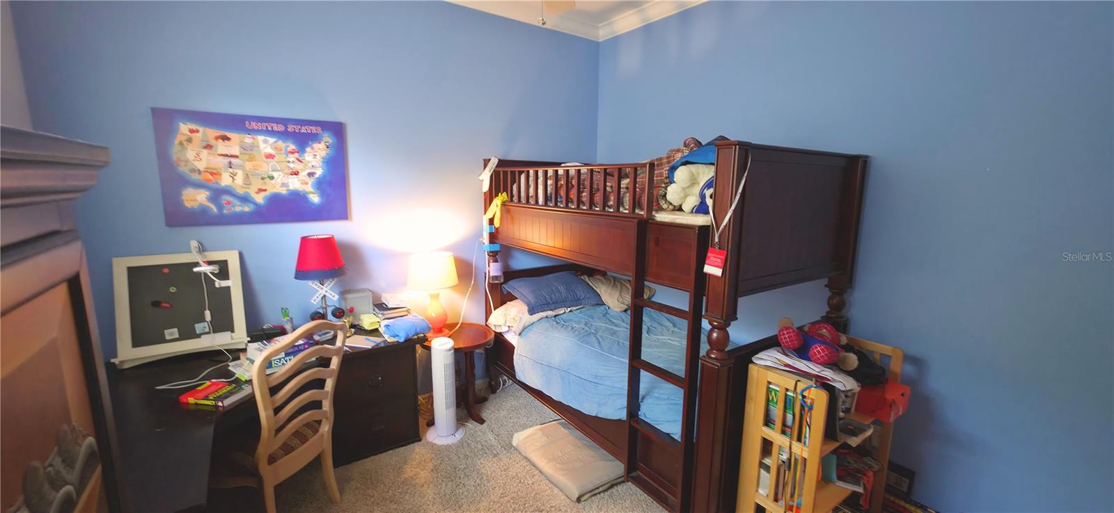 6041 CATLIN DR, TAMPA, FL, 33647