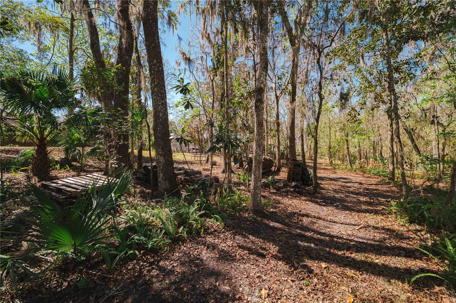 16039 BULLIS DR, BROOKSVILLE, FL, 34614