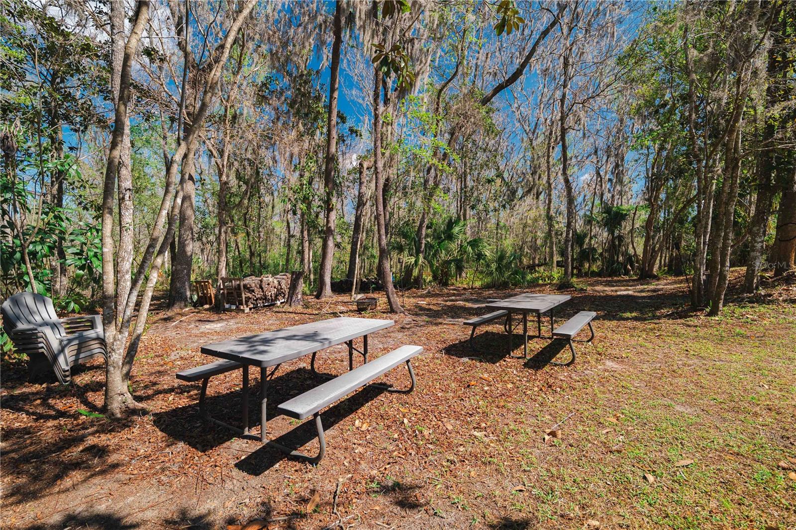 16039 BULLIS DR, BROOKSVILLE, FL, 34614