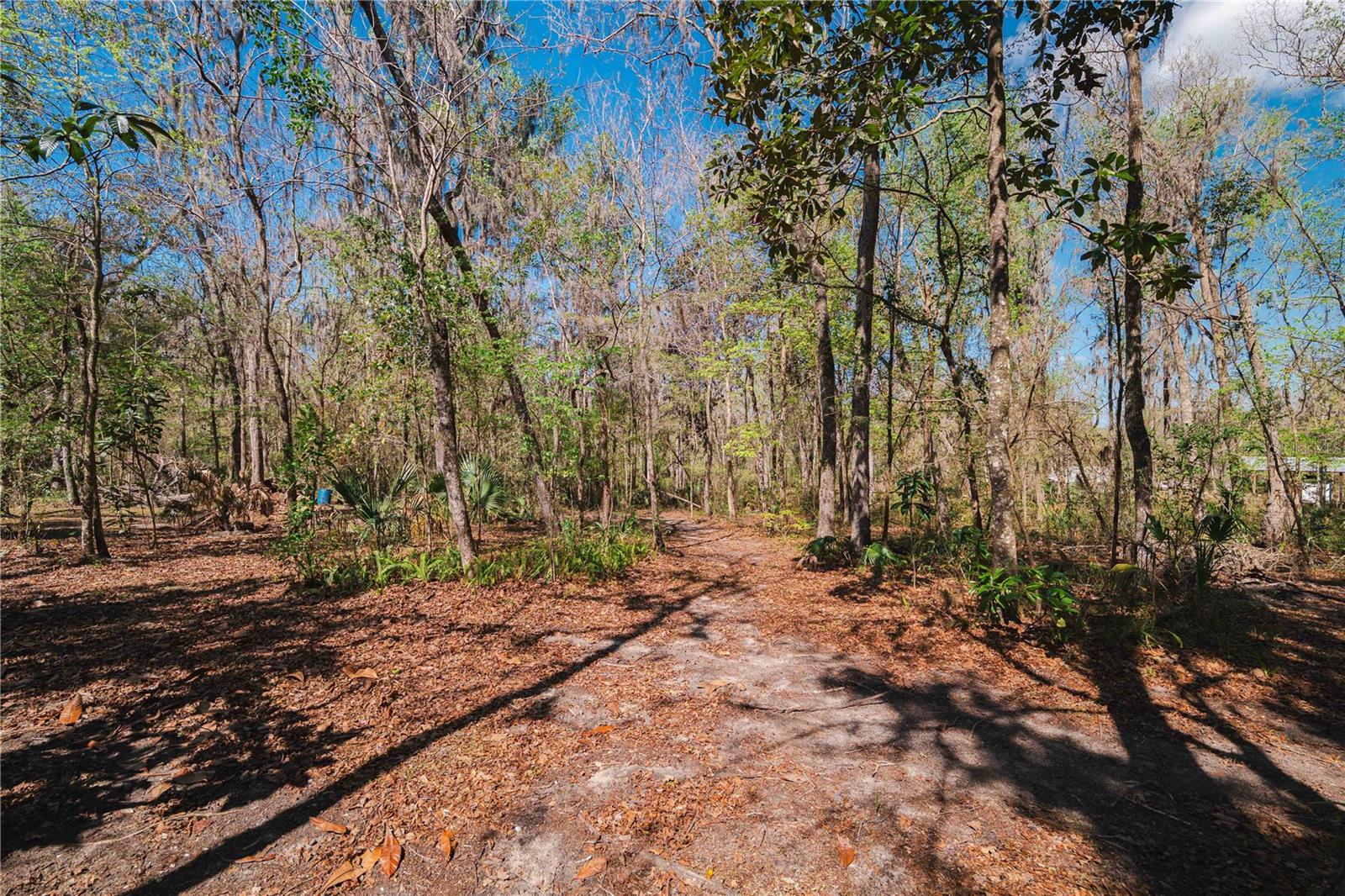 16039 BULLIS DR, BROOKSVILLE, FL, 34614