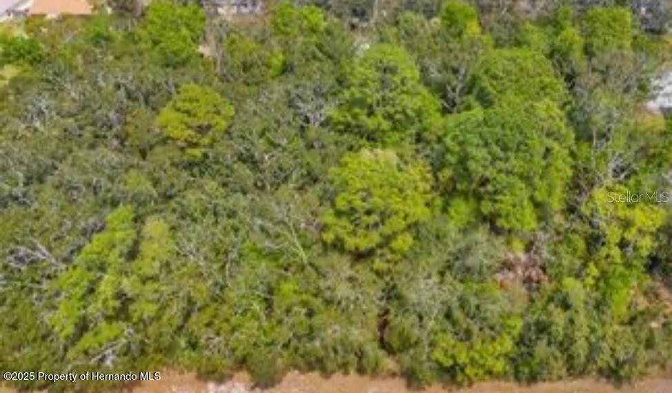 3366 N ANNAPOLIS AVE, HERNANDO, FL, 34442