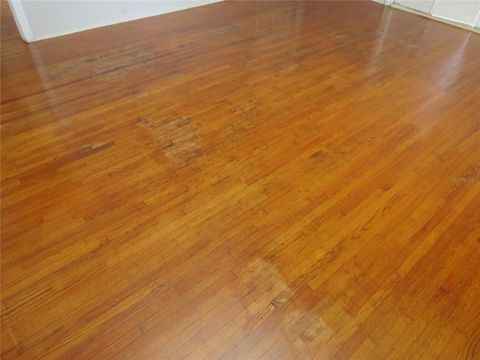 122 MAGNOLIA DR, ORMOND BEACH, FL, 32176