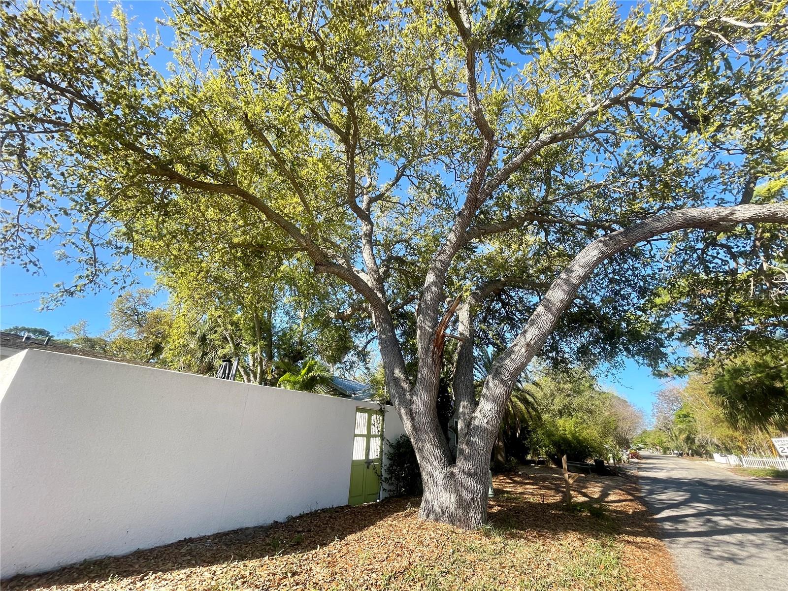 1330 S JEFFERSON AVE, SARASOTA, FL, 34239