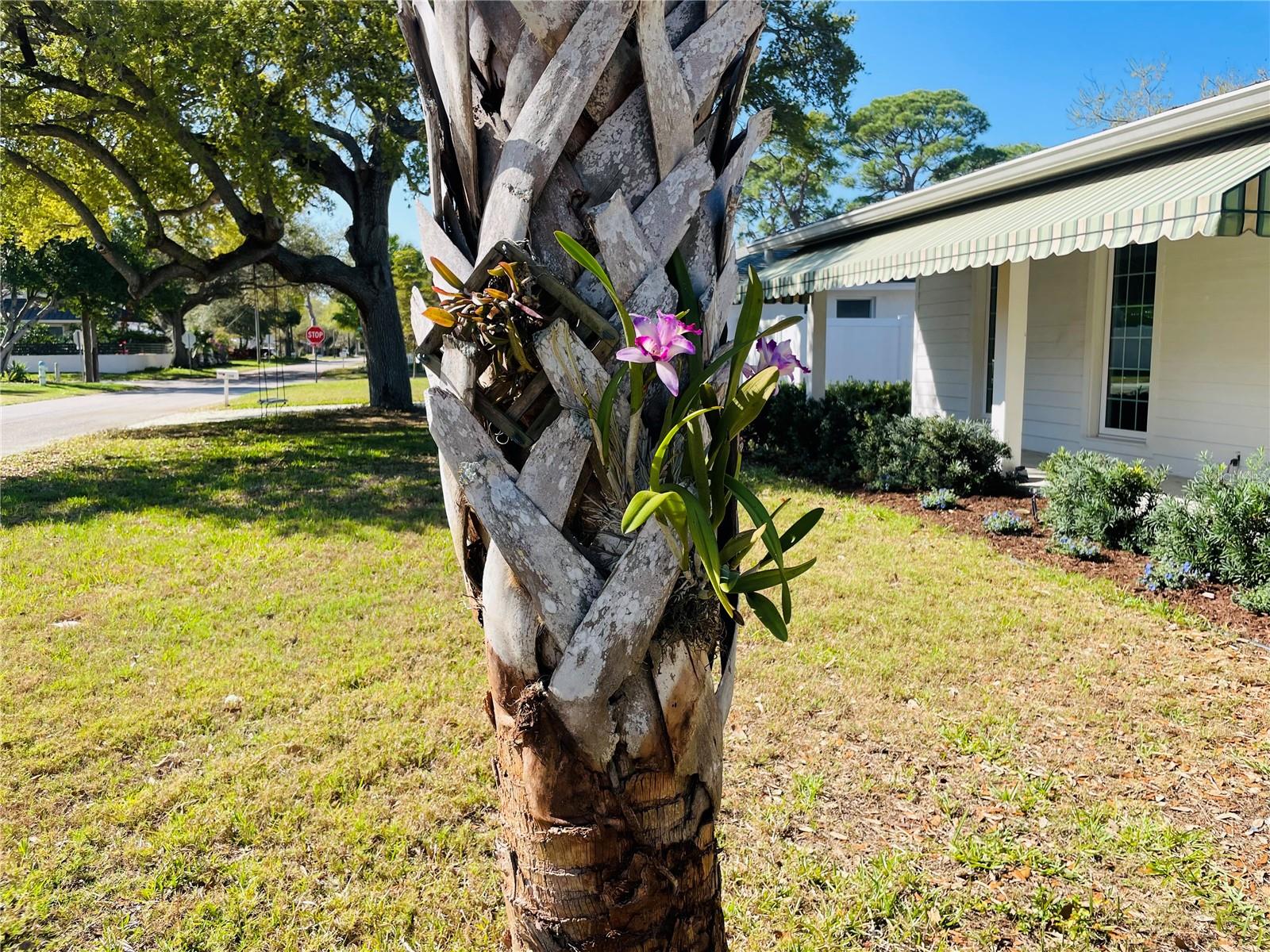 1330 S JEFFERSON AVE, SARASOTA, FL, 34239