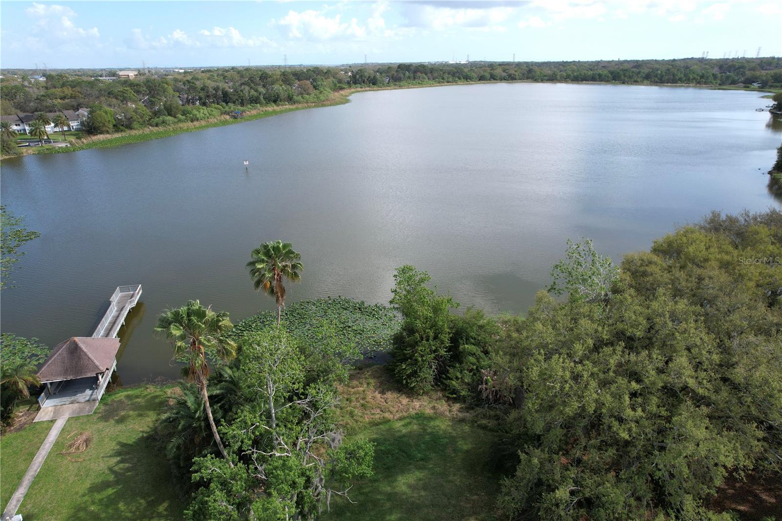 3832 PEBBLE CT, PALM HARBOR, FL, 34684