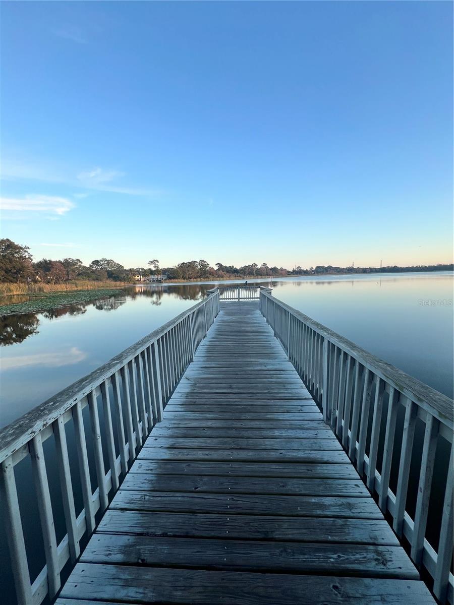 3832 PEBBLE CT, PALM HARBOR, FL, 34684