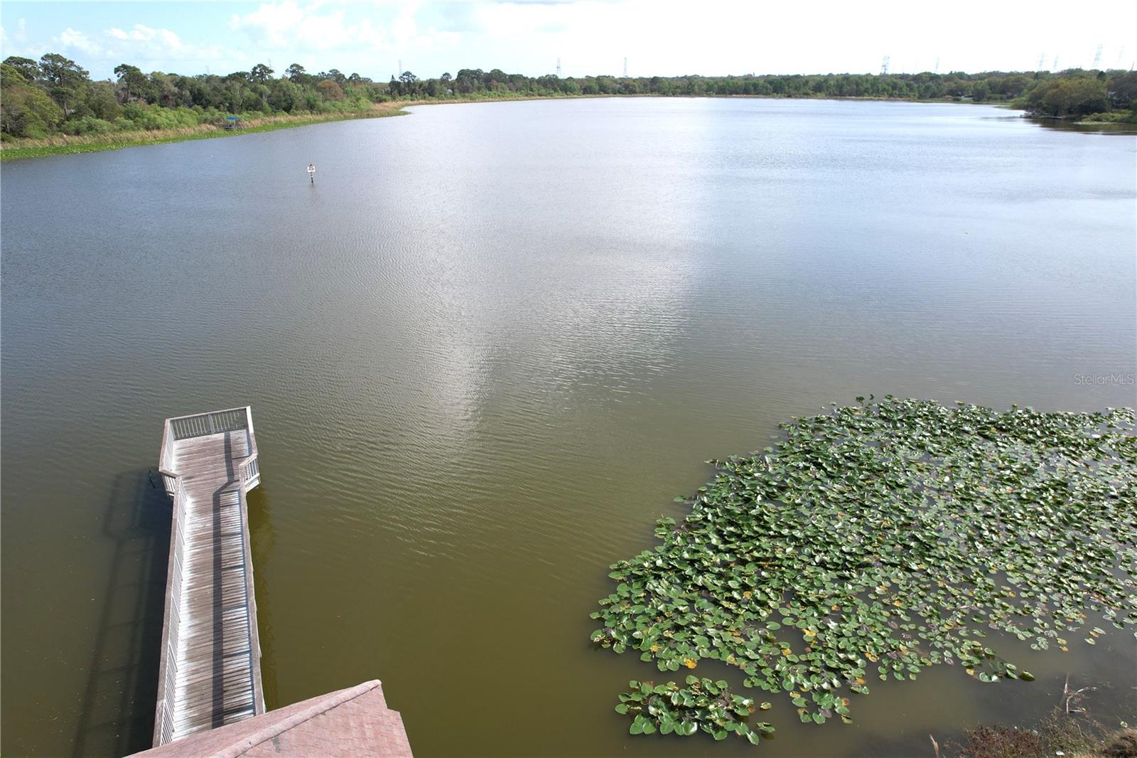 3832 PEBBLE CT, PALM HARBOR, FL, 34684