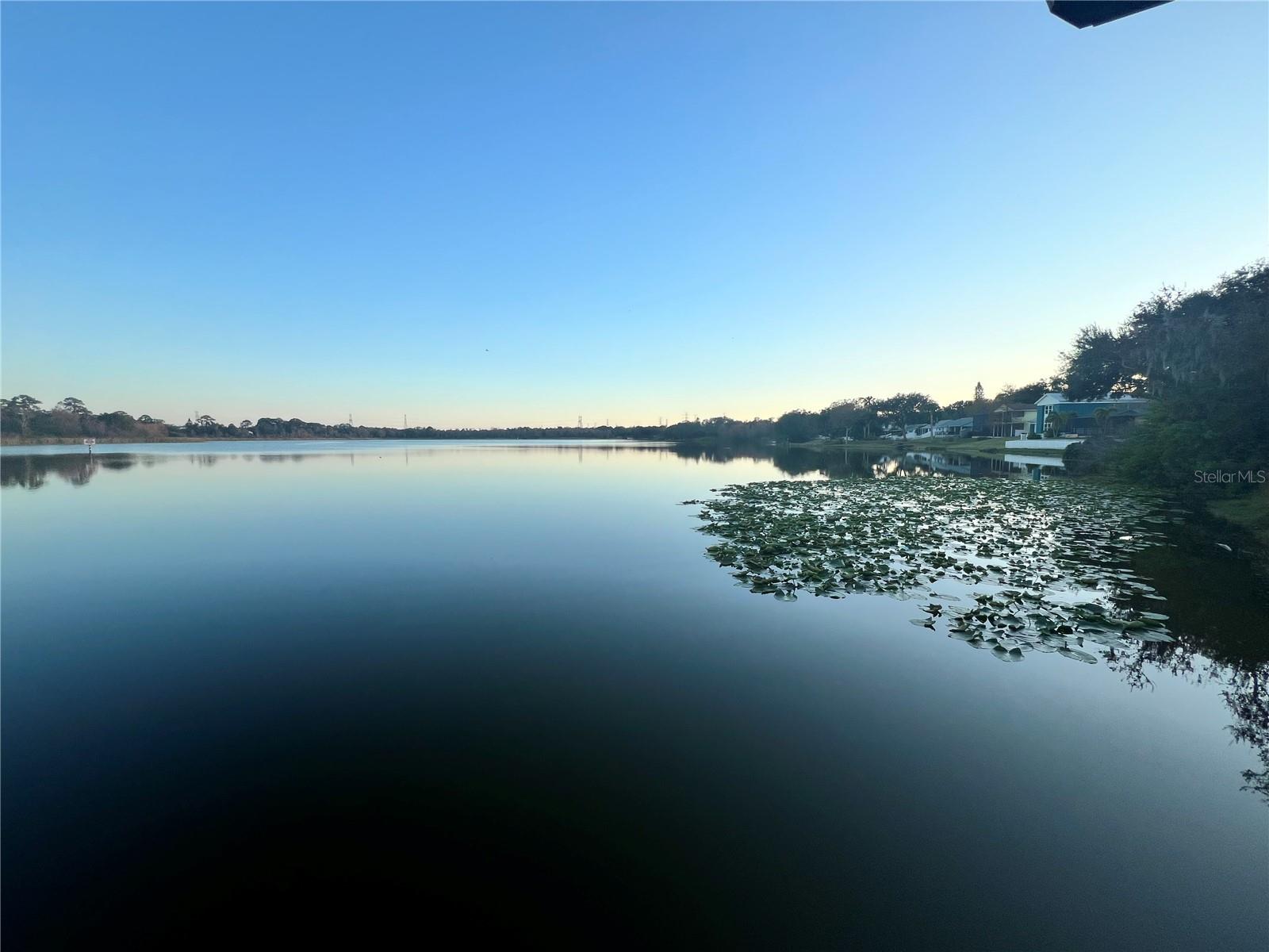 3832 PEBBLE CT, PALM HARBOR, FL, 34684