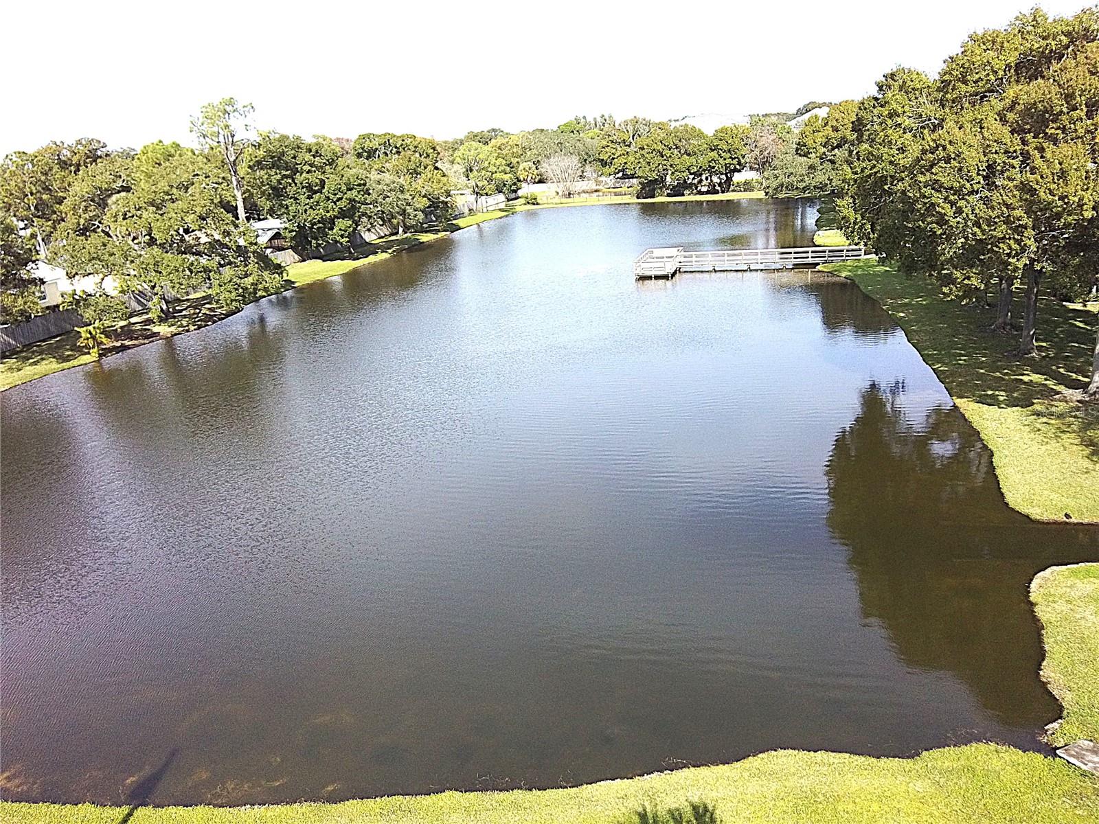 3808 N OAK DR #U42, TAMPA, FL, 33611