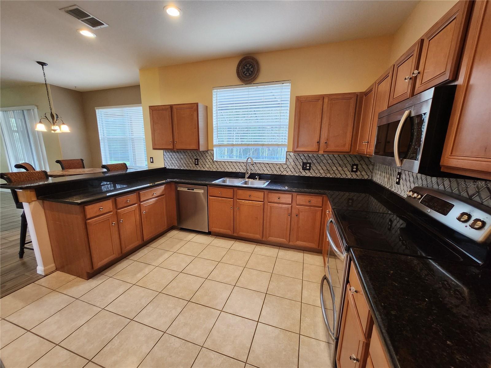 3913 ROSWELL PL, LAND O LAKES, FL, 34639