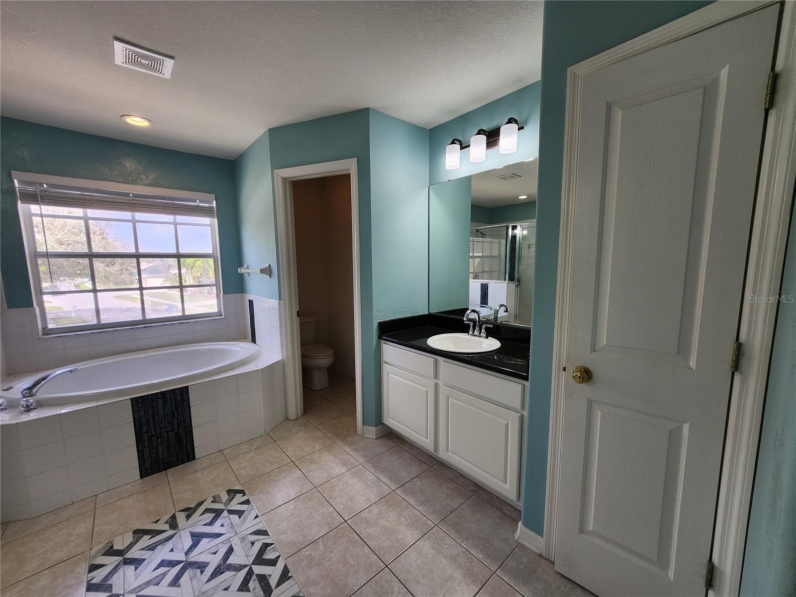 3913 ROSWELL PL, LAND O LAKES, FL, 34639