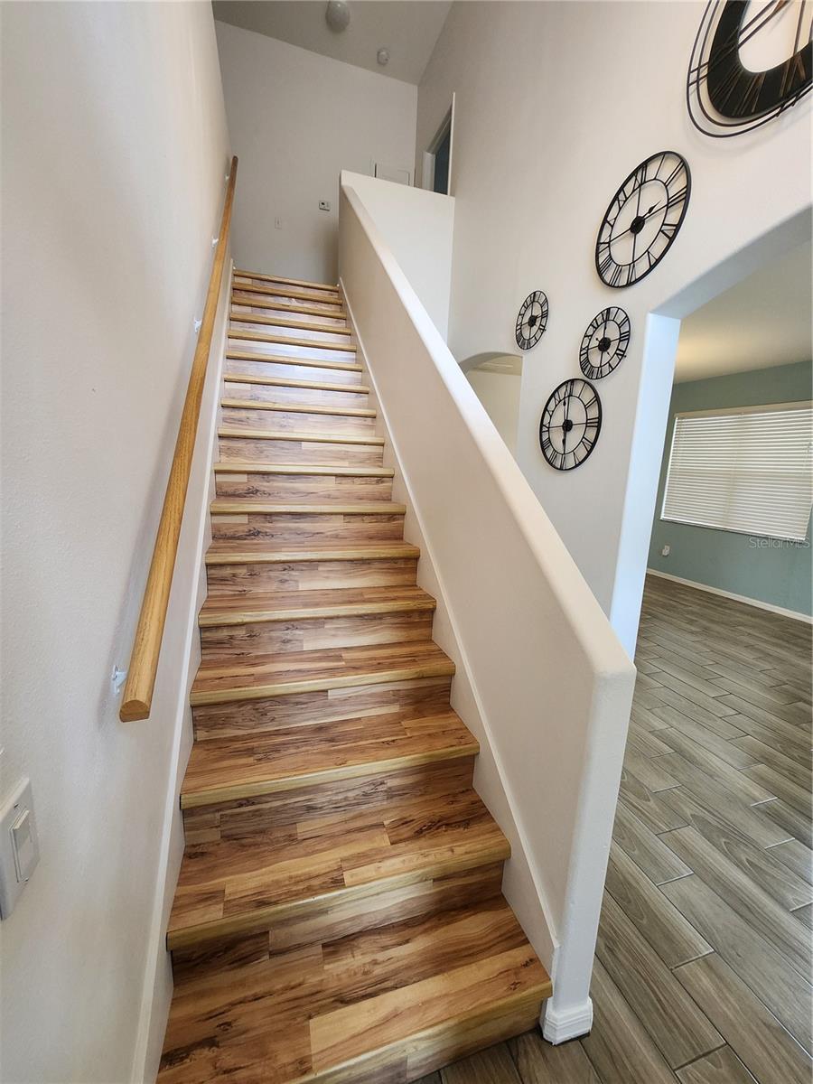 3913 ROSWELL PL, LAND O LAKES, FL, 34639