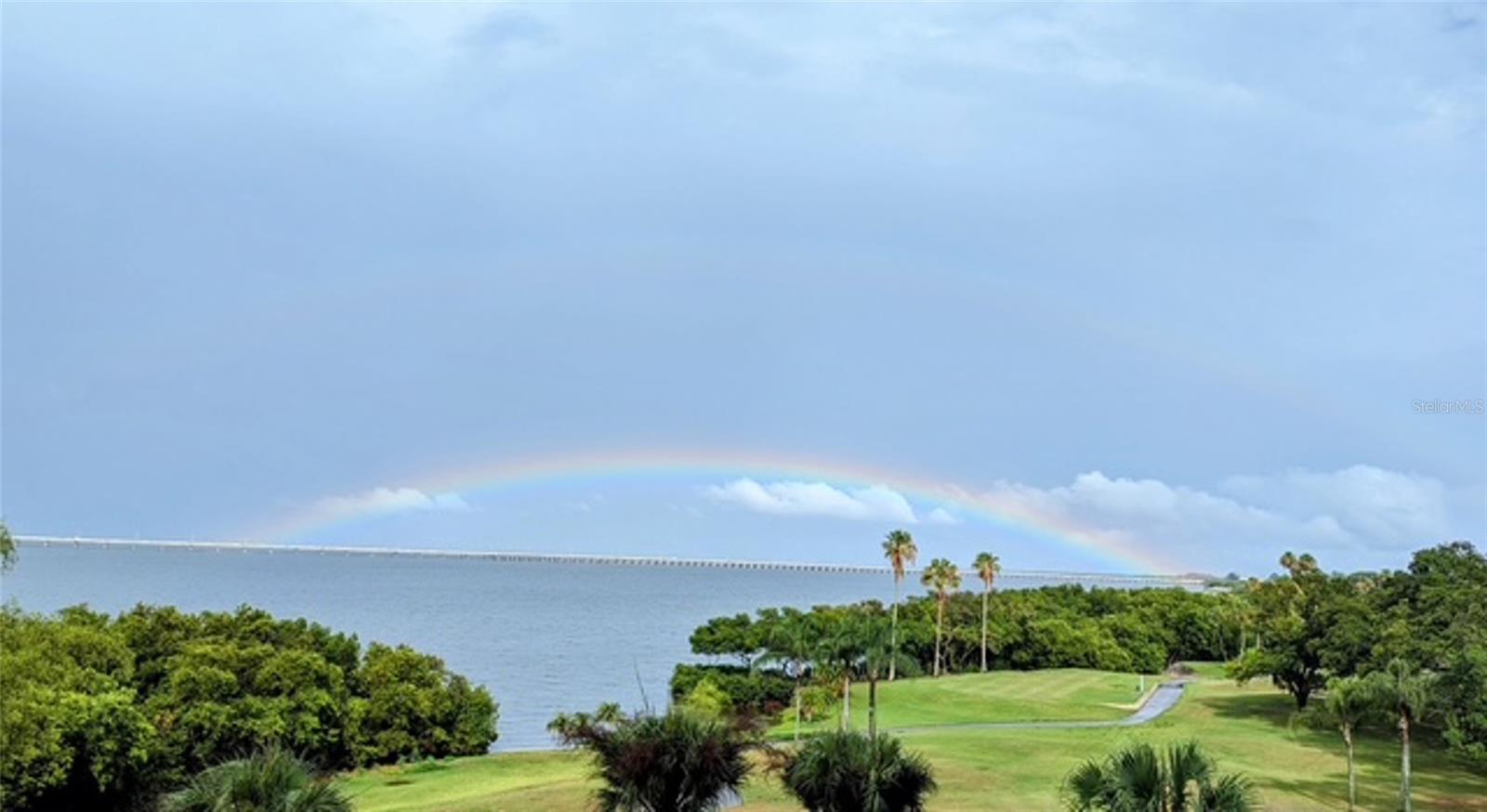 2616 COVE CAY DR #502, CLEARWATER, FL, 33760