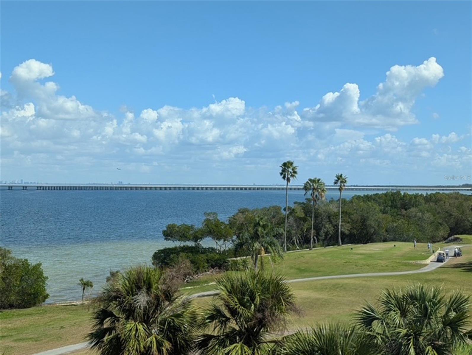 2616 COVE CAY DR #502, CLEARWATER, FL, 33760