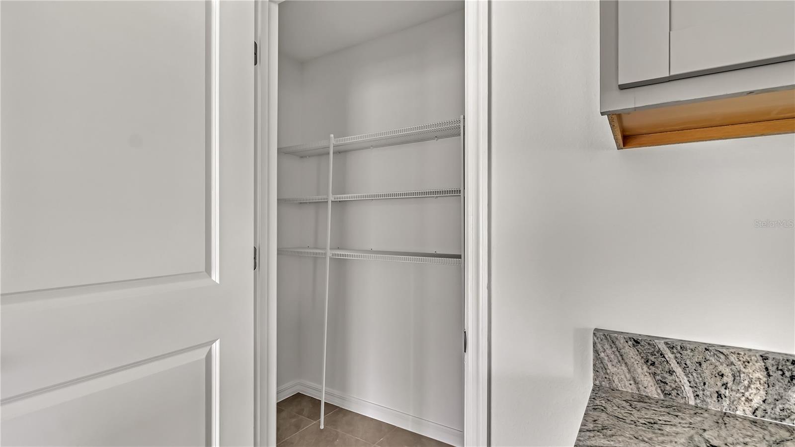 16651 MOSAIC OAR DR, WIMAUMA, FL, 33598