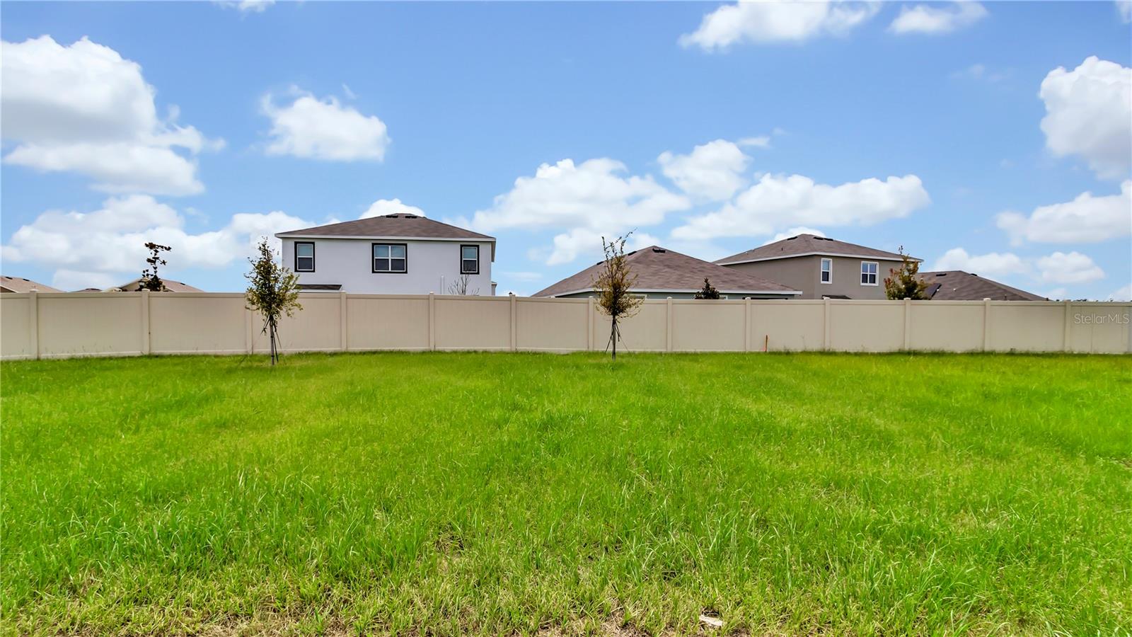 16651 MOSAIC OAR DR, WIMAUMA, FL, 33598