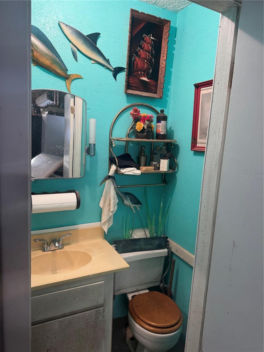 17645 NE 61ST STREET RD, SILVER SPRINGS, FL, 34488