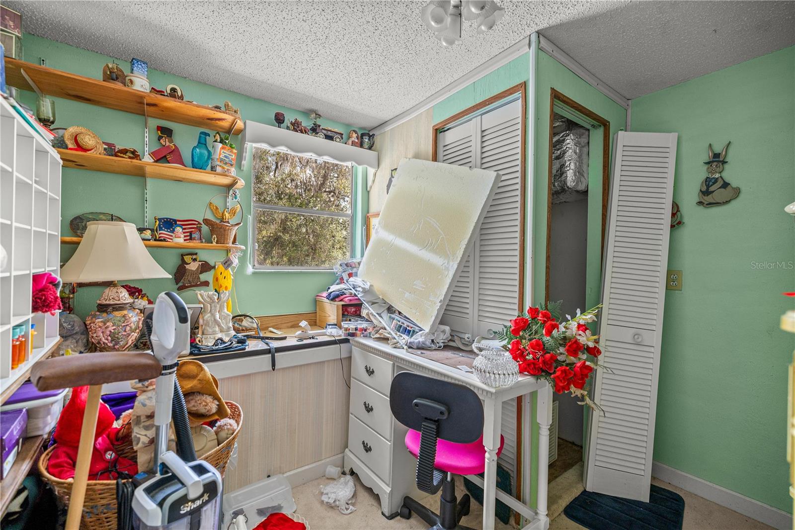 17645 NE 61ST STREET RD, SILVER SPRINGS, FL, 34488